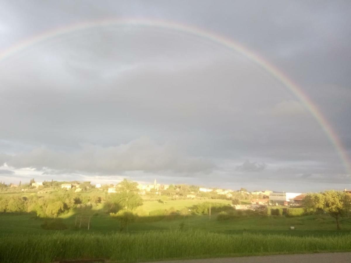 Ferienwohnung Agriturismo Colle Al Sole Castiglione del Lago Exterior foto