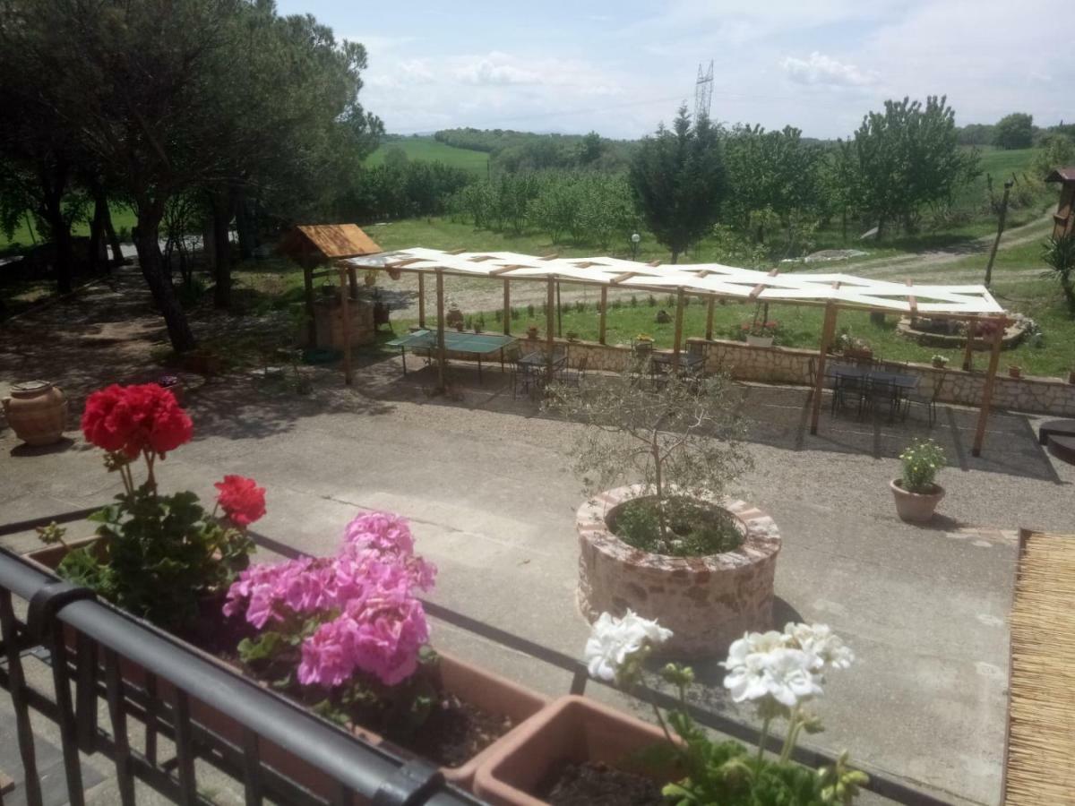Ferienwohnung Agriturismo Colle Al Sole Castiglione del Lago Exterior foto