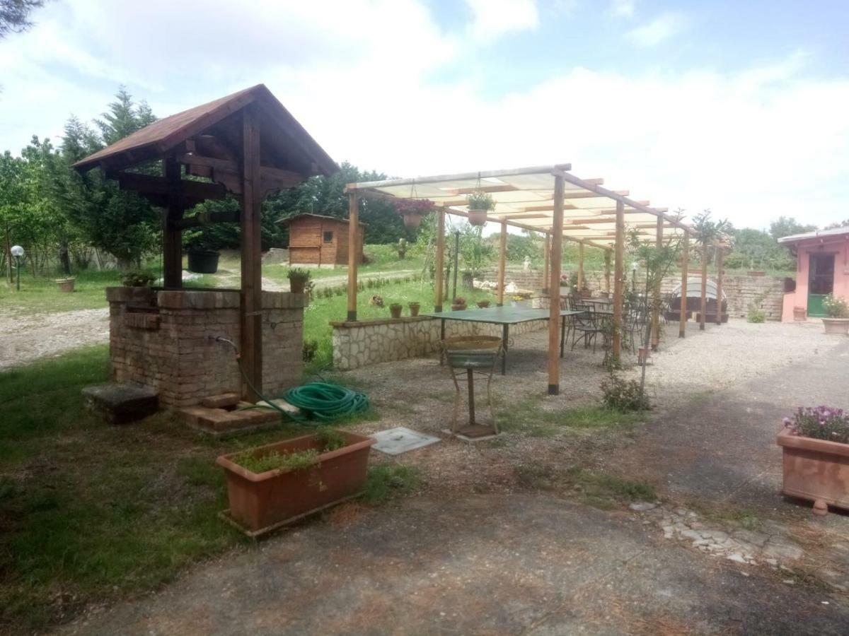 Ferienwohnung Agriturismo Colle Al Sole Castiglione del Lago Exterior foto