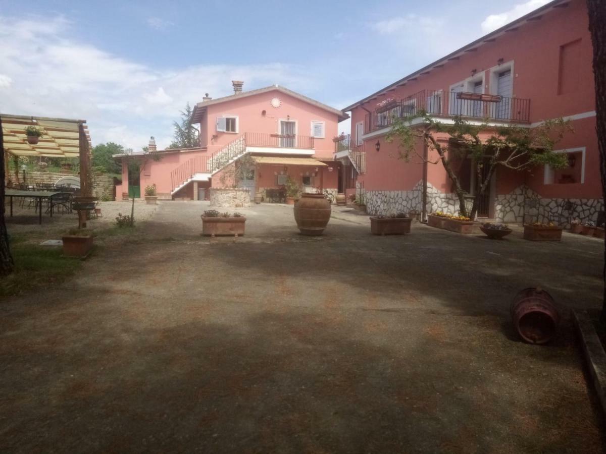 Ferienwohnung Agriturismo Colle Al Sole Castiglione del Lago Exterior foto
