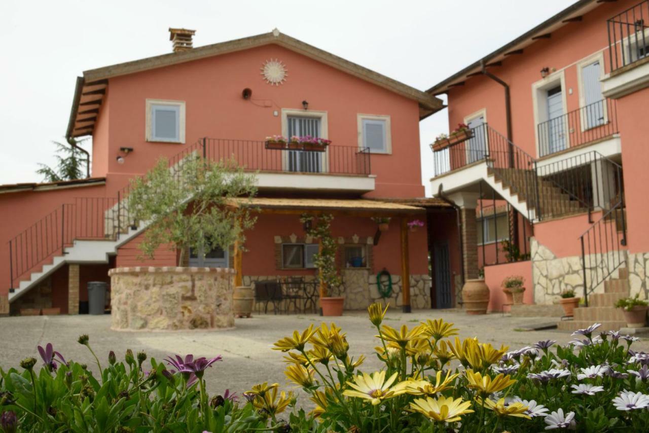 Ferienwohnung Agriturismo Colle Al Sole Castiglione del Lago Exterior foto